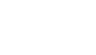 Professional Investments